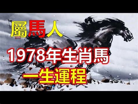 1978屬馬|【1978屬馬五行】1978屬馬五行：詳解你的命格與運勢